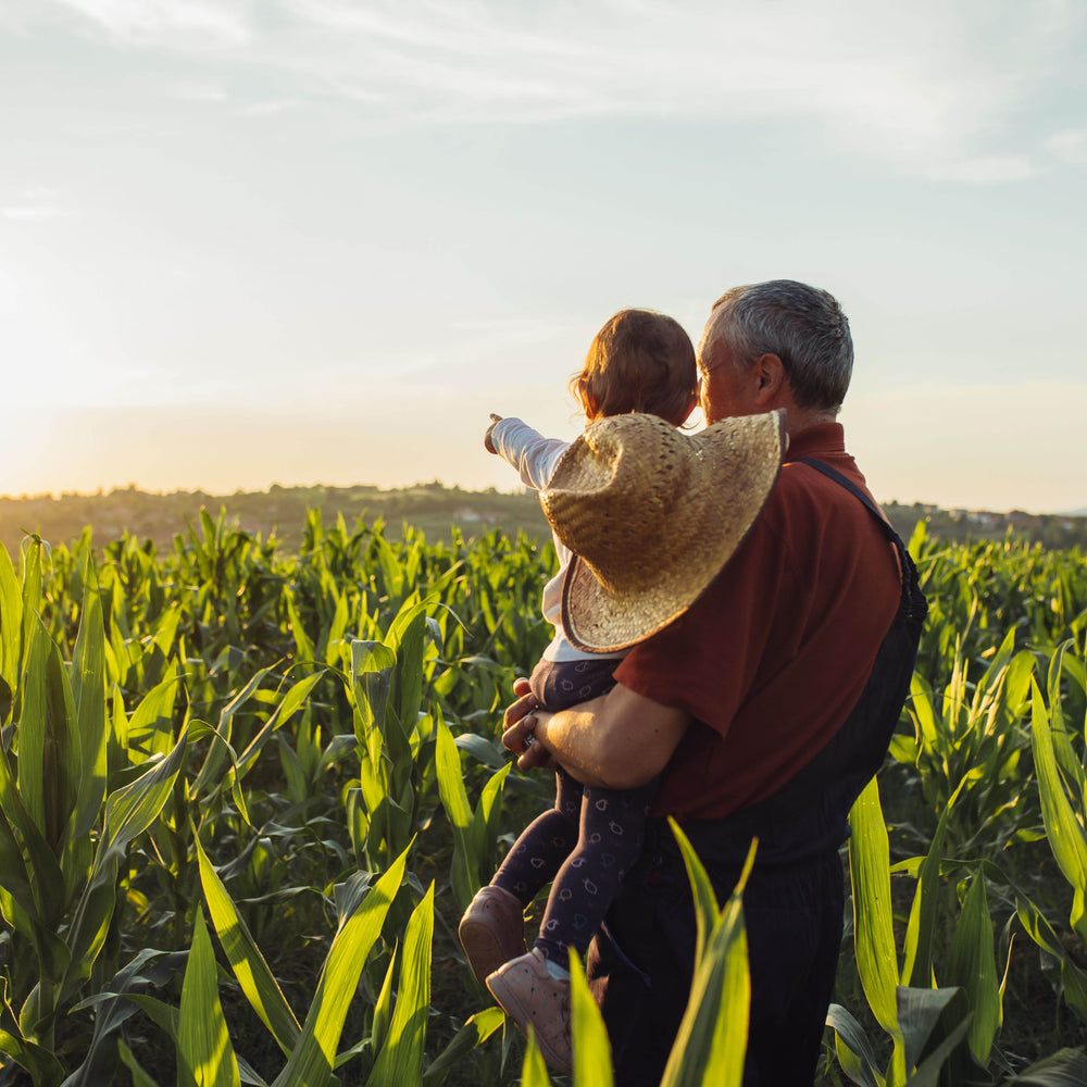 Farming Sunset