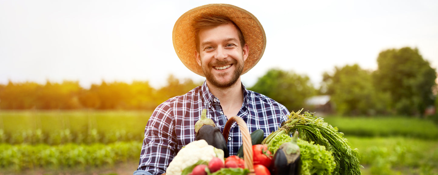 Organic Vegetable Powders