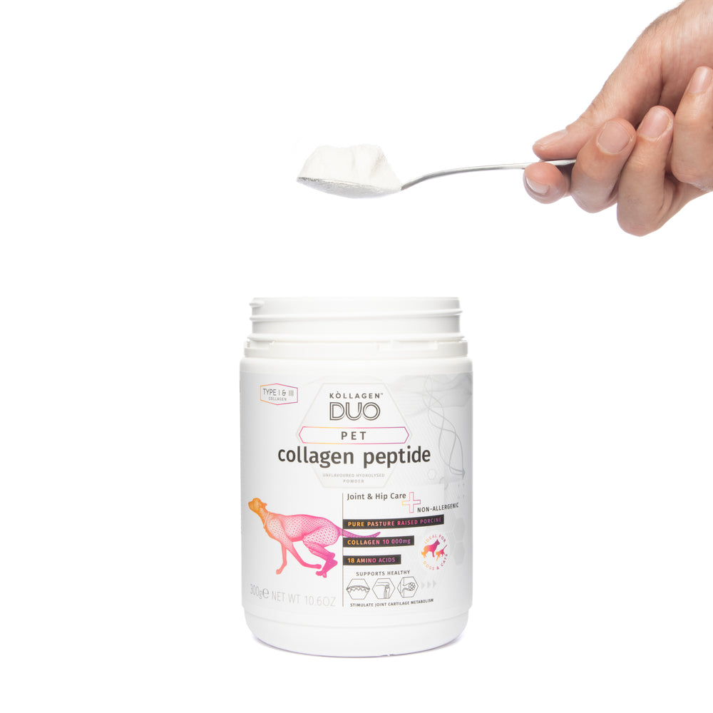 
                      
                        Pet Collagen Peptide Powder - Supports Bone, Joint, Skin, Coat and Digestive Health 300 grams
                      
                    